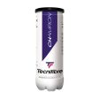 Tecnifibre Champion Tubes (X3) Tennis Balls [WS] Online Hot Sale