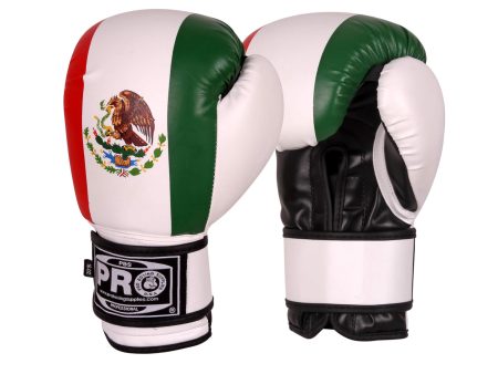 ProBoxing® Series Deluxe Starter Boxing Gloves - Mexican Flag Sale