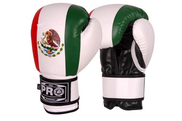 ProBoxing® Series Deluxe Starter Boxing Gloves - Mexican Flag Sale